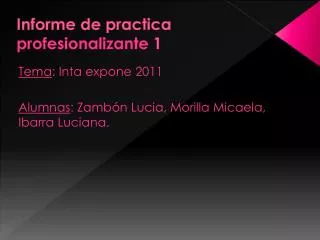 informe de practica profesionalizante 1