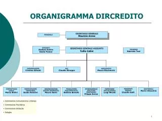 organigramma dircredito