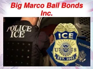 What are Bail Bonds