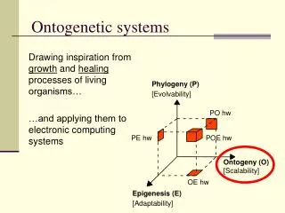 Ontogenetic systems