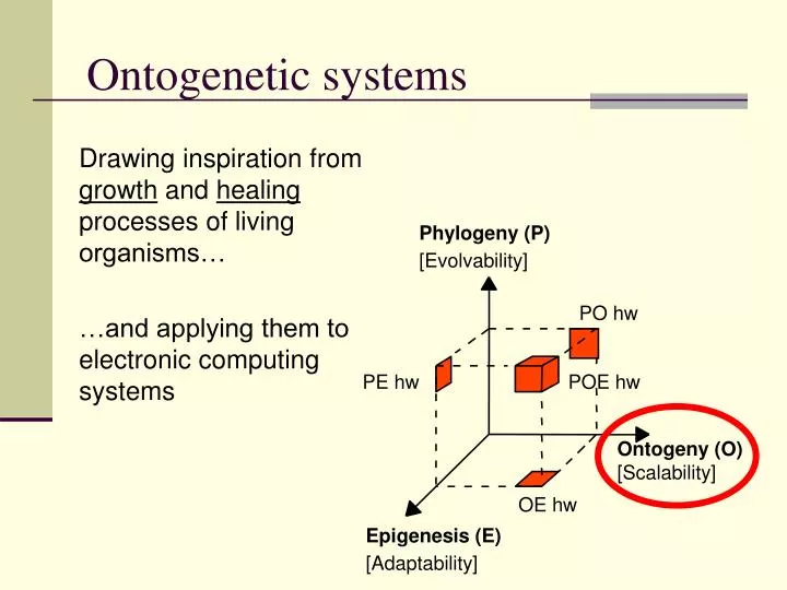 ontogenetic systems