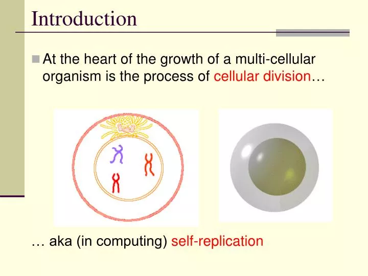 introduction