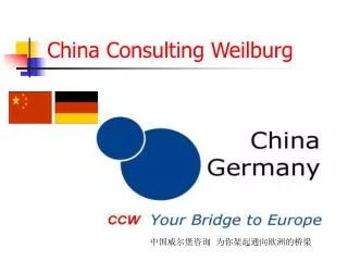 china consulting weilburg