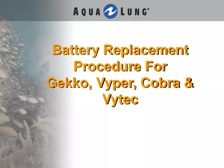 battery replacement procedure for gekko vyper cobra vytec