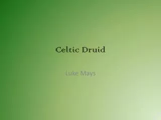Celtic Druid
