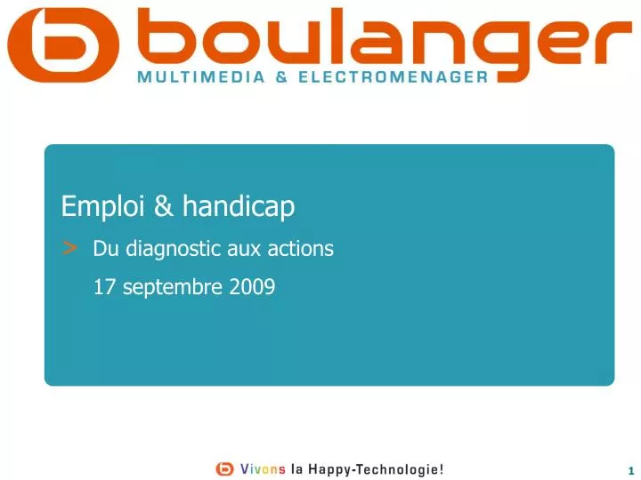 rapport final diagnostic national sur l insertion des personnes en situation de handicap 25 02 2009