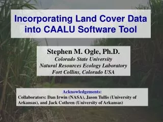 Incorporating Land Cover Data into CAALU Software Tool
