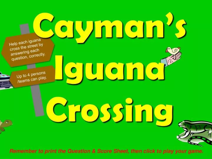 cayman s iguana crossing