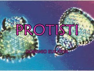 protisti