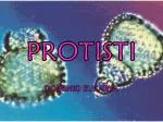 PROTISTI - slide 1