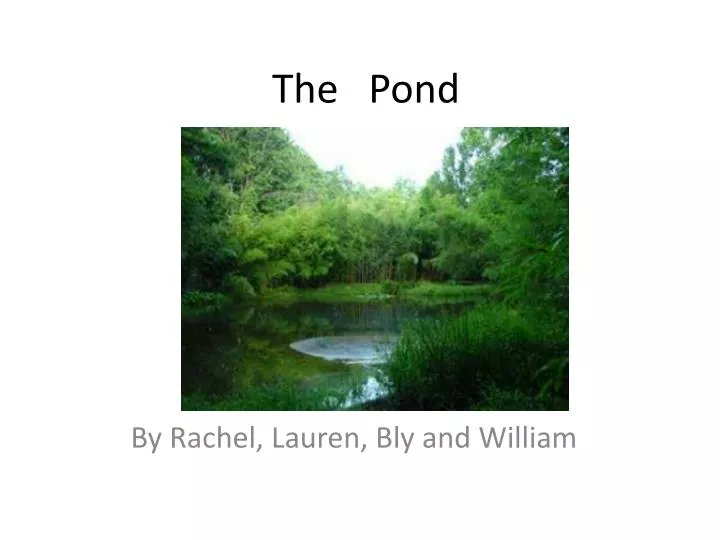 the pond