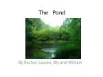 The Pond - slide 1