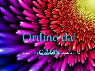 ordine dal caos