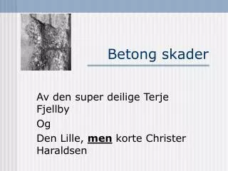 betong skader