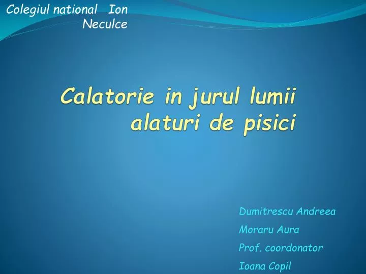 calatorie in jurul lumii alaturi de pisici