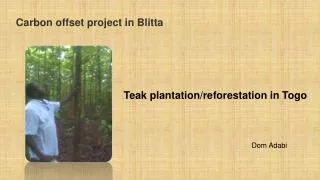 Carbon offset project in Blitta