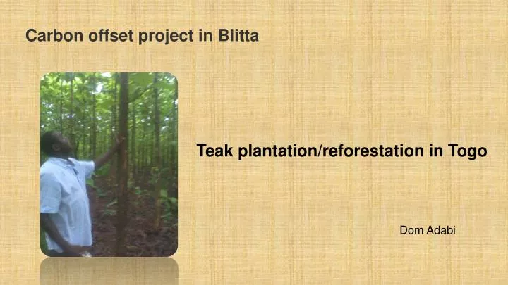 carbon offset project in blitta