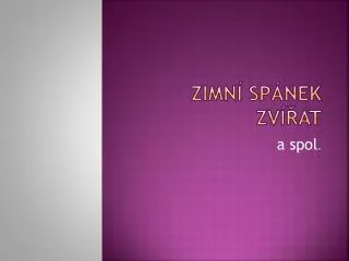 zimn sp nek zv at