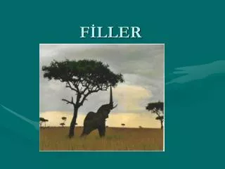 f ller