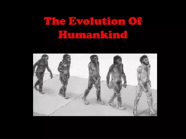 the evolution of humankind