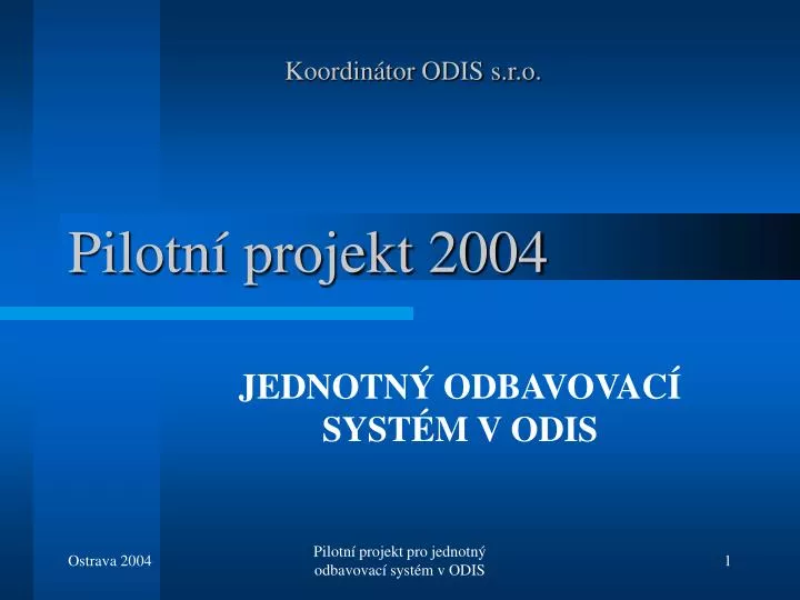 pilotn projekt 2004
