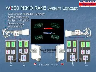 W i 300 MIMO RAKE System Concept