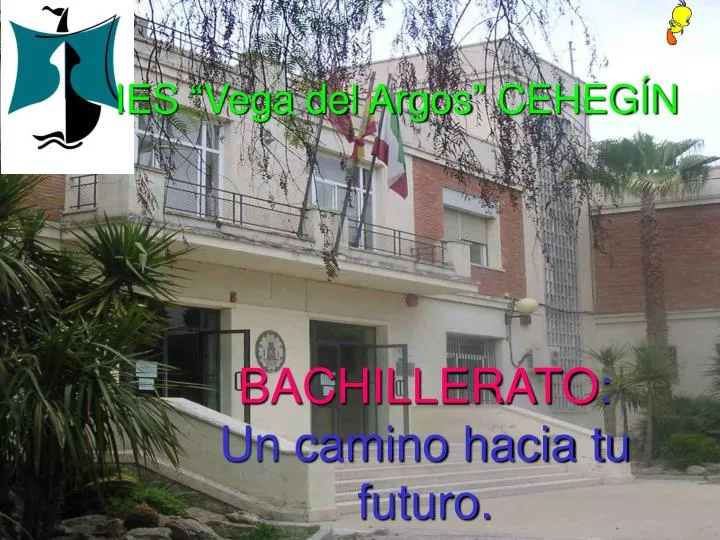 bachillerato un camino hacia tu futuro