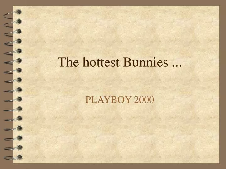 the hottest bunnies