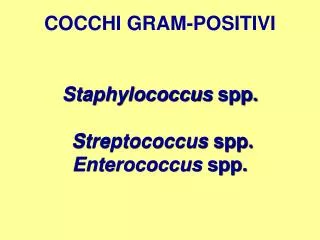 cocchi gram positivi staphylococcus spp streptococcus spp enterococcus spp