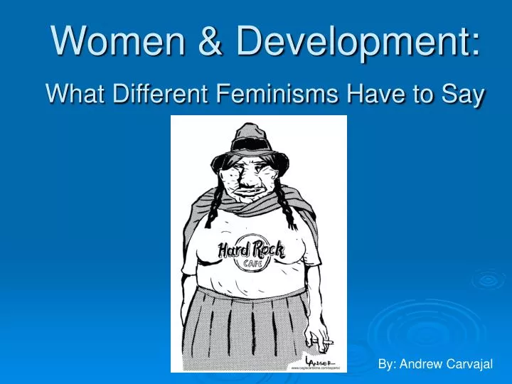 women development what different feminisms have to say