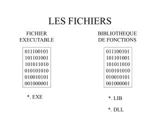 les fichiers
