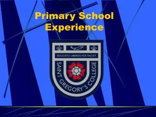 primary school experience
