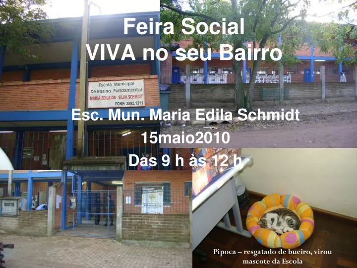 feira social viva no seu bairro