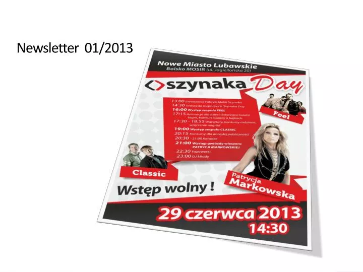 newsletter 01 2013