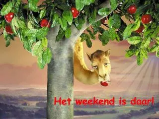 het weekend is daar
