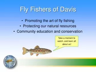 Fly Fishers of Davis
