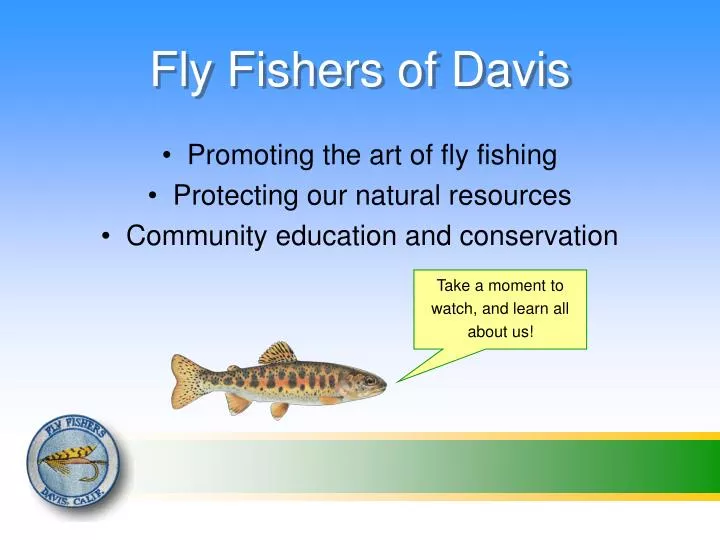 fly fishers of davis