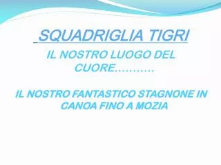 squadriglia tigri