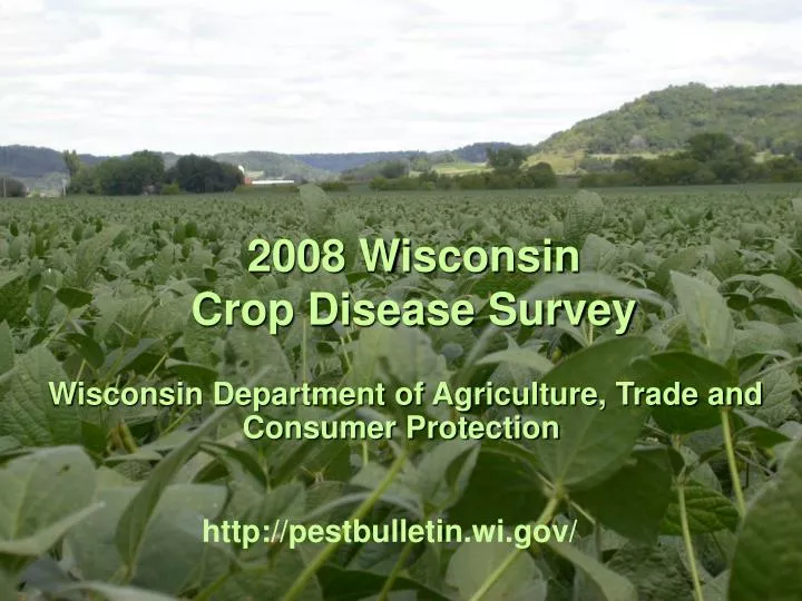 2008 wisconsin crop disease survey