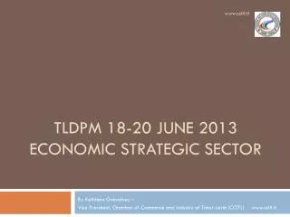 TLDPM 18-20 June 2013 Economic Strategic Sector