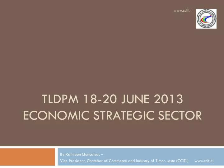 tldpm 18 20 june 2013 economic strategic sector