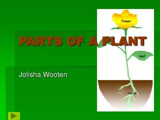 PARTS OF A PLANT