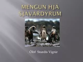 mengun hj sj vard rum