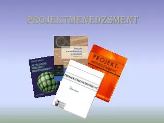 projektmenedzsment