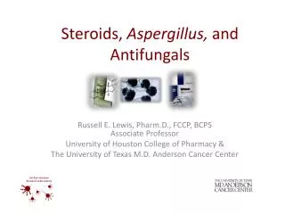 Steroids, Aspergillus, and Antifungals