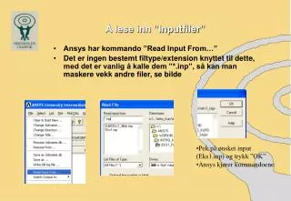 lese inn inputfiler