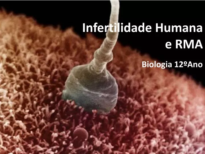 infertilidade humana e rma