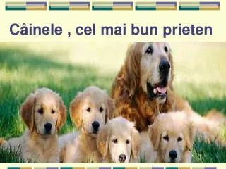 c inele cel mai bun prieten