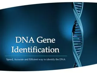 DNA Gene Identification