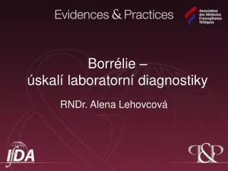 rndr alena lehovcov
